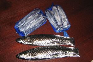 Schokoladenpräsente, Schokoladengeschenk in Dresden